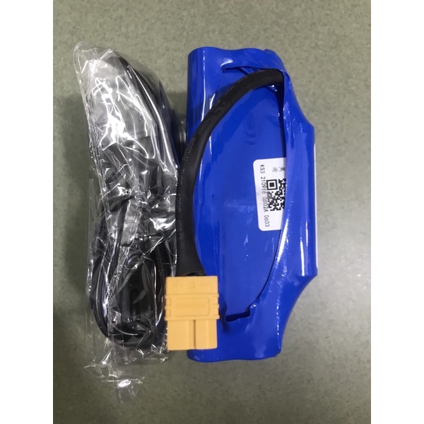 Combo Pin cũ + Sạc  xe cân bằng