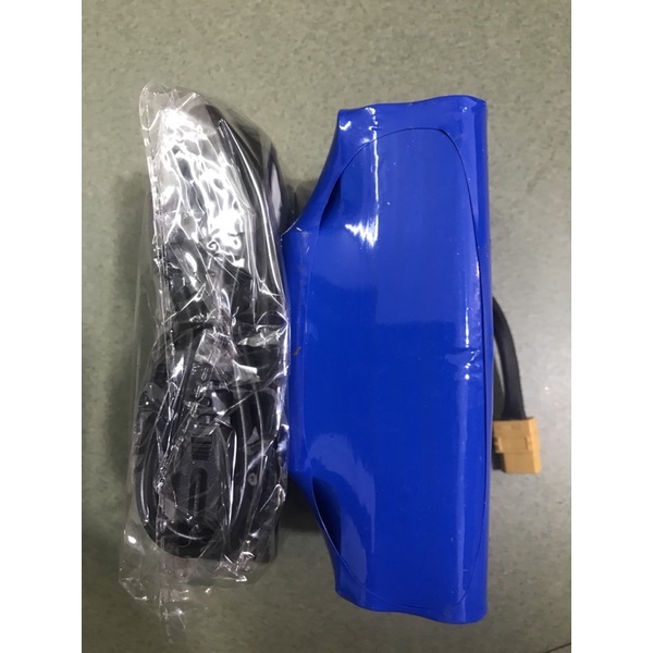 Combo Pin cũ + Sạc  xe cân bằng