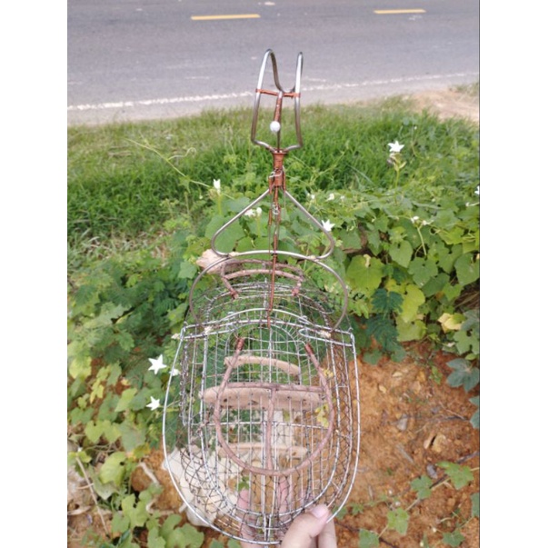 Lồng bẫy chào mào inox hàng cao cấp giá rẻ chất lượng cao