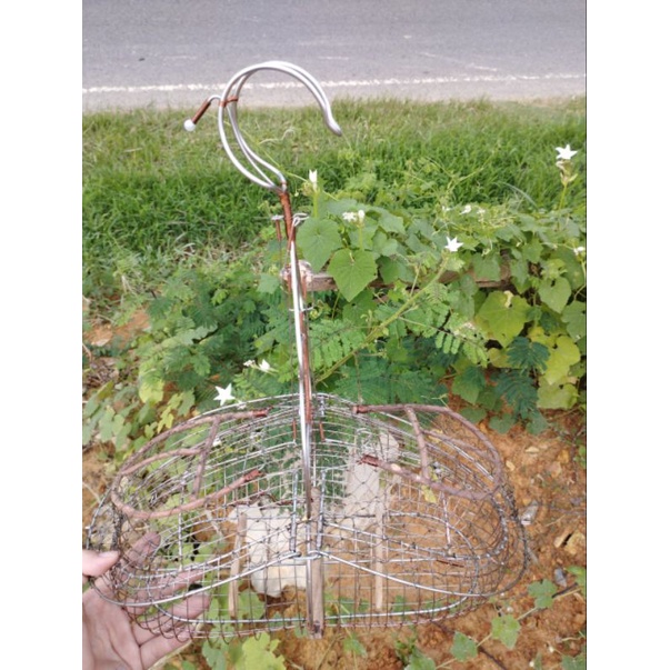 Lồng bẫy chào mào inox hàng cao cấp giá rẻ chất lượng cao