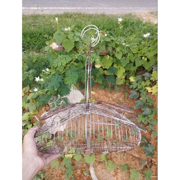 Lồng bẫy chào mào inox hàng cao cấp giá rẻ chất lượng cao