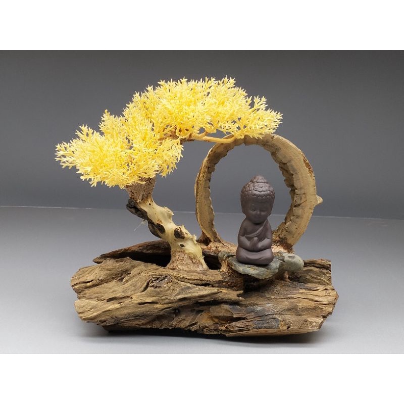 Mẫu gỗ lũa bonsai tán tùng nhựa kèm tượng Đức Phật ngồi thiền.