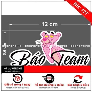 Tem logo sticker Báo Team Trending hồng đen 12x5,6cm ngộ nghĩnh dễ thương