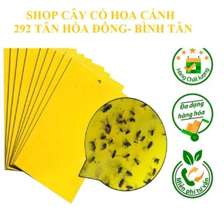Miếng dán bẫy côn trùng, ruồi vàng, màu vàng kích thước 25x20cm - 2 mặt keo
