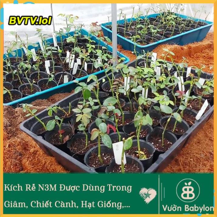 KÍCH THÍCH RA RỄ N3M - LỌ 100 GRAM VLTP.lol