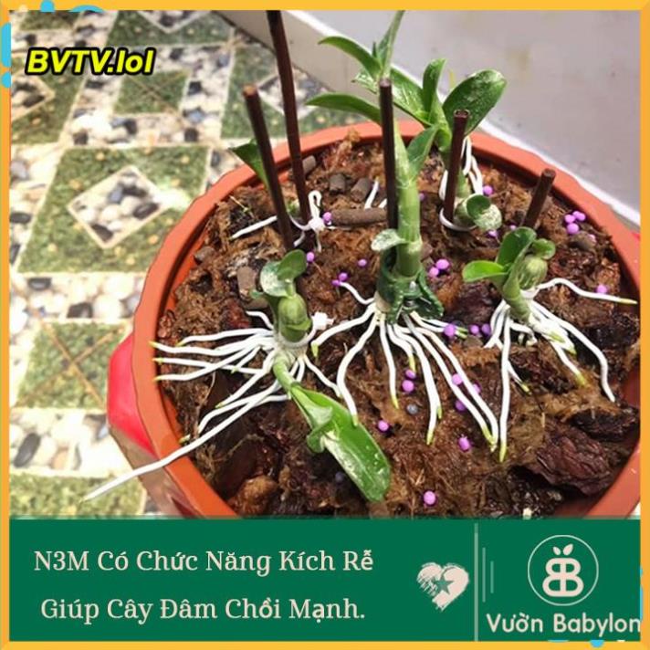 KÍCH THÍCH RA RỄ N3M - LỌ 100 GRAM VLTP.lol