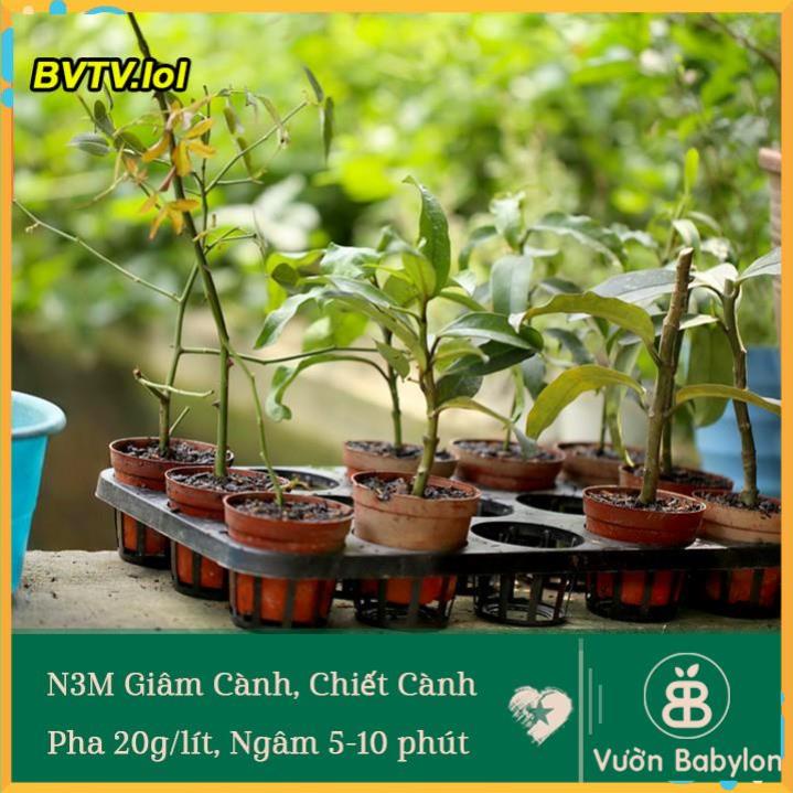 KÍCH THÍCH RA RỄ N3M - LỌ 100 GRAM VLTP.lol