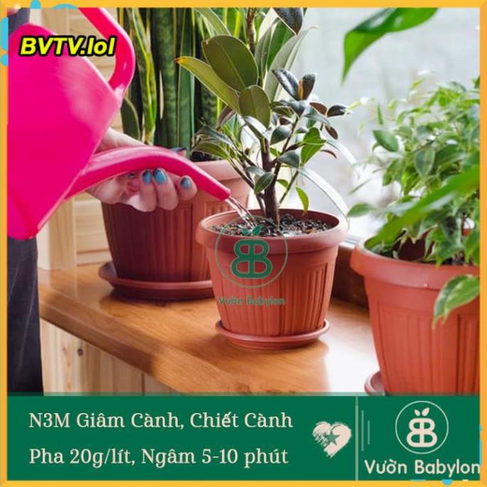 KÍCH THÍCH RA RỄ N3M - LỌ 100 GRAM VLTP.lol