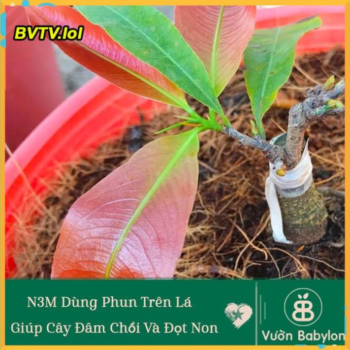 KÍCH THÍCH RA RỄ N3M - LỌ 100 GRAM VLTP.lol