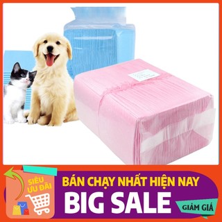 Tả lót vệ sinh huấn luyện Chó mèo, Miếng lót cho chó, mèo đi vệ sinh Tã Lót Vệ Sinh Cho Chó Mèo cho