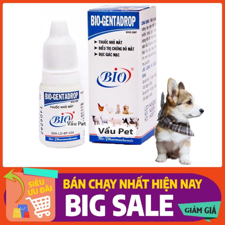Dung Dịch Mắt Bio Gentadrop Cho Chó Mèo Nhỏ Mắt Cho Mèo Vẩu  Shop cho