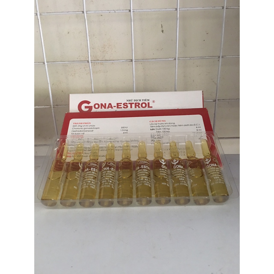 1 ống Gona estrol  dùng cho chó mèo lợn