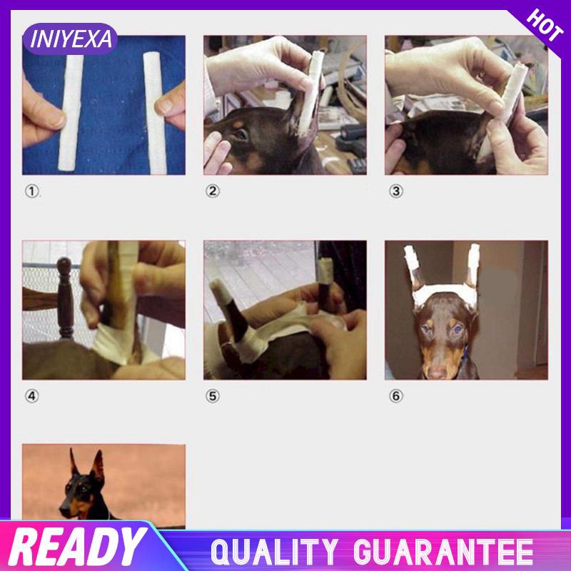 Giá Đỡ Tai Chó Chihuahua Cỡ Vừa Và Lớn Chăm Sóc Tai Cho Cún Cưng cho