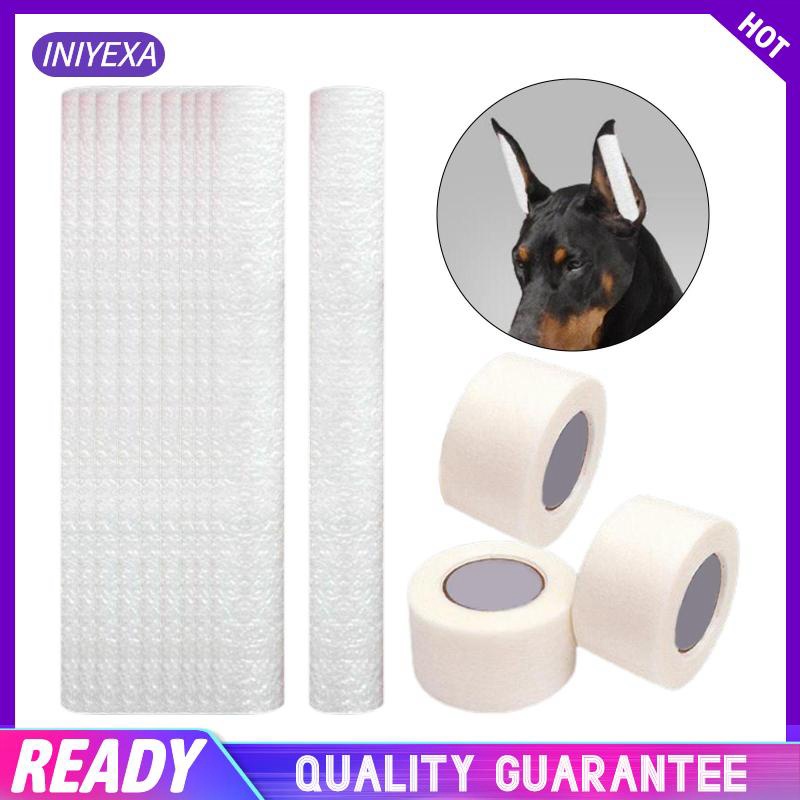 Giá Đỡ Tai Chó Chihuahua Cỡ Vừa Và Lớn Chăm Sóc Tai Cho Cún Cưng cho