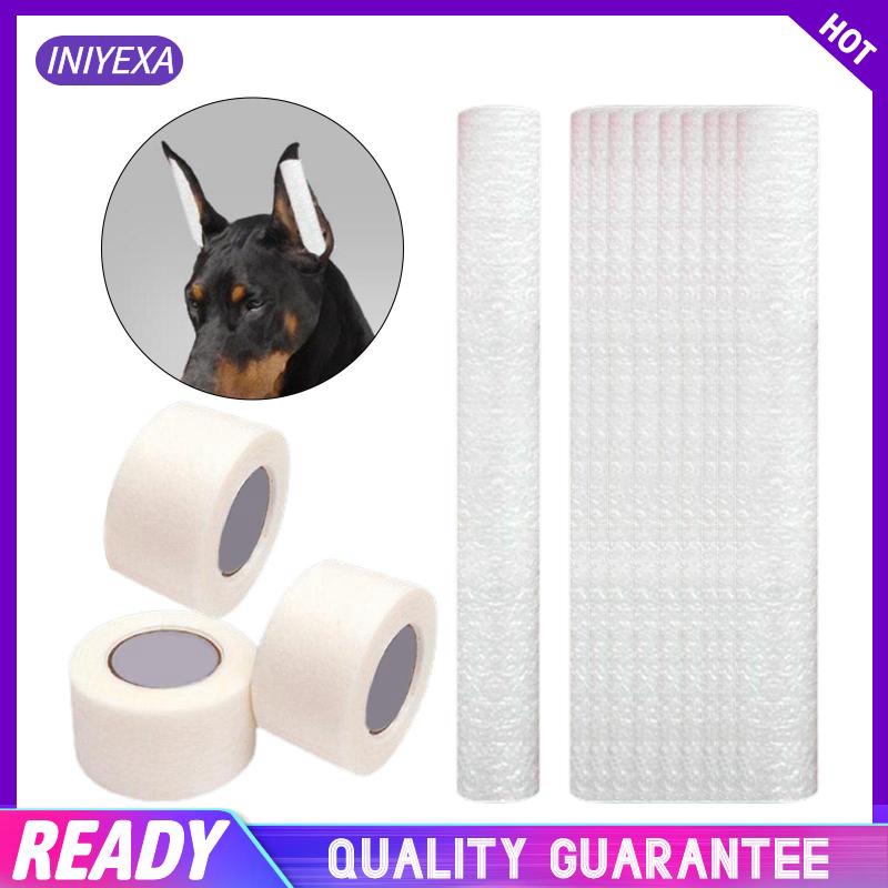 Giá Đỡ Tai Chó Chihuahua Cỡ Vừa Và Lớn Chăm Sóc Tai Cho Cún Cưng cho