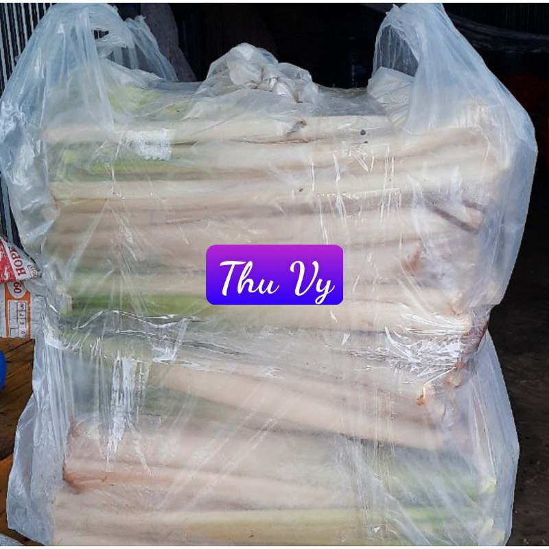 BỒN BỒN TƯƠI (NGUYÊN CỌNG) chỉ gửi miền nam