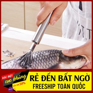 Dụng cụ đánh vảy cá, nạo dừa tiện dụng