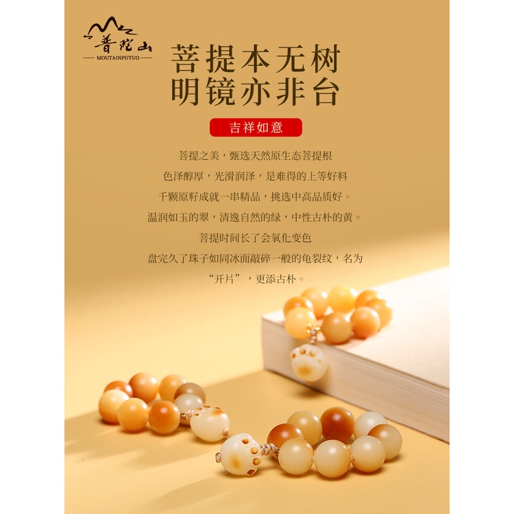 Nhẫn Đeo Tay Hình Móng Vuốt Mèo Bằng Than Hoạt Tính Mềm Mại Dành Cho Nữ