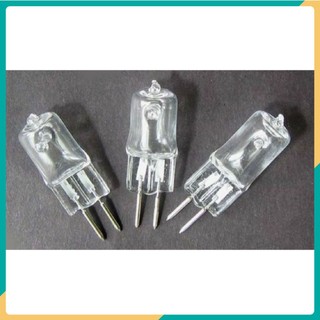 Bóng đèn cho đèn xông tinh dầu