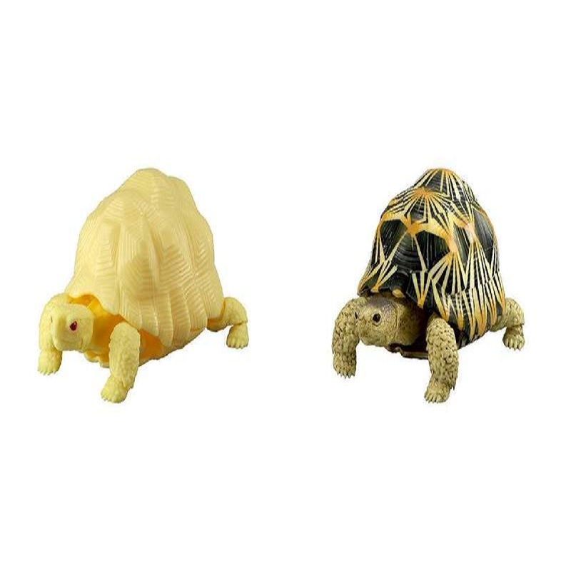 Bandai Mô Hình Rùa Gashapon Có Thể Di Chuyển Sinh Học