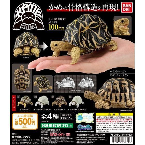 Bandai Mô Hình Rùa Gashapon Có Thể Di Chuyển Sinh Học
