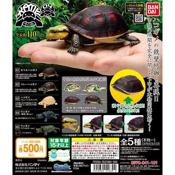 Bandai Mô Hình Rùa Gashapon Có Thể Di Chuyển Sinh Học
