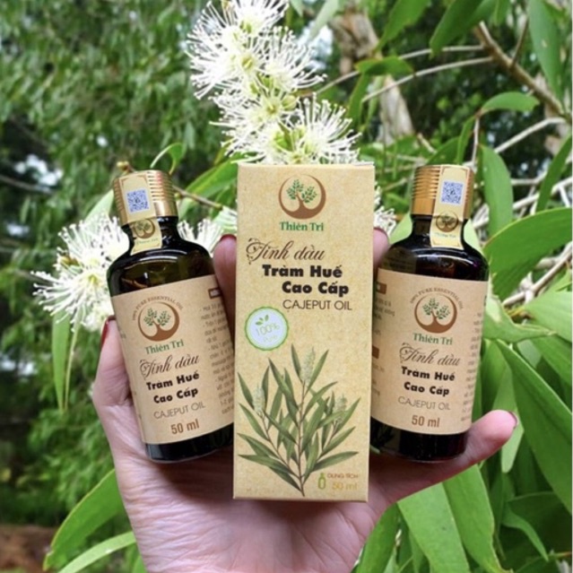 Tinh dầu tràm gió cao cấp Thiên Tri 50ml