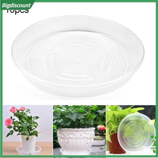 <BIG> CREATIVE CLEAR Set 10 Khay Nhựa Tròn Trong Suốt Dùng Để Đựng Hoa Trang Trí Đẹp Mắt