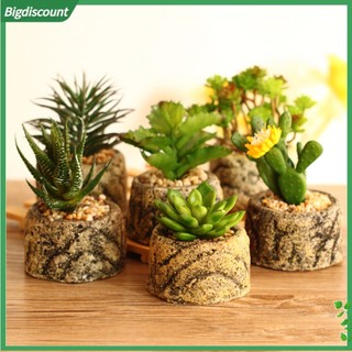 Chậu cây xương rồng nhân tạo dễ thương dùng để trang trí vườn tiện dụng