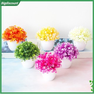 <BIG> Cây Cảnh Nhân Tạo Dùng Để Trang Trí Bàn Làm Việc Sang Trọng Tiện Dụng