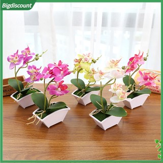 <BIG> Chậu hoa lan giả trang trí bàn làm việc tiện dụng