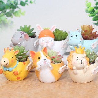 Chậu trồng cây mini hình thú đáng yêu