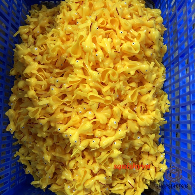 Gà Bắn Dính Tường, đồ giải trí Ná Hình Chú Gà, đồ giải trí tiêu khiển xuất bán cho vui