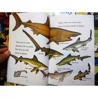 Hàng nhập 30q - Step into reading 3 + File Mp3
