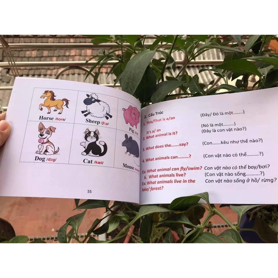 Tặng file Mp3 - Đồng hành tiếng anh cùng con tại nhà