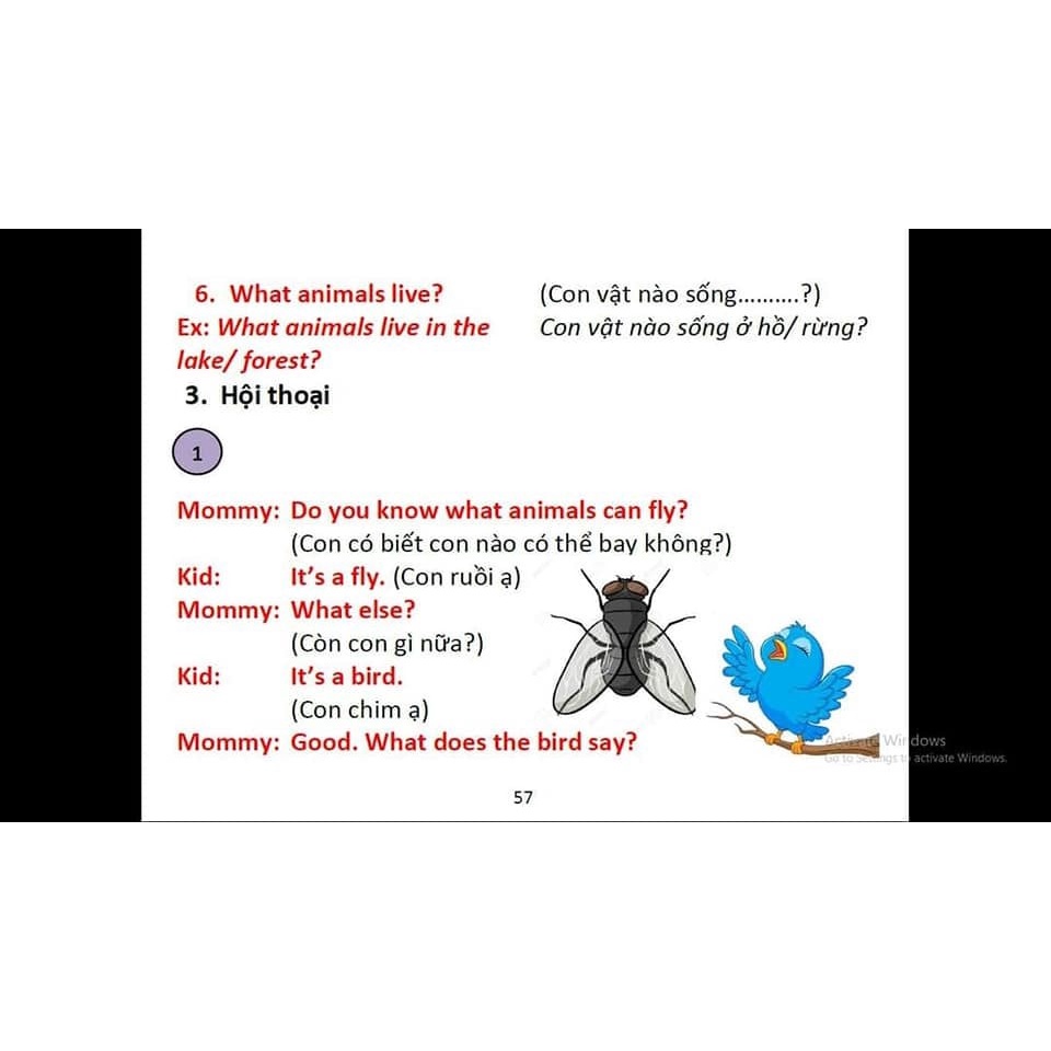 Tặng file Mp3 - Đồng hành tiếng anh cùng con tại nhà