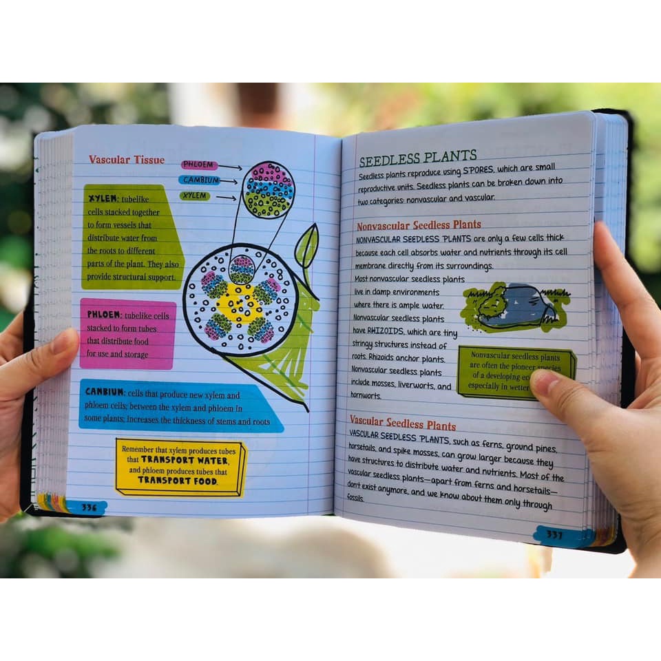 Bản nhập - Big Fat Notebook 7c