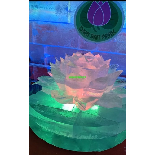 Vé trọn gói Công viên Đầm Sen