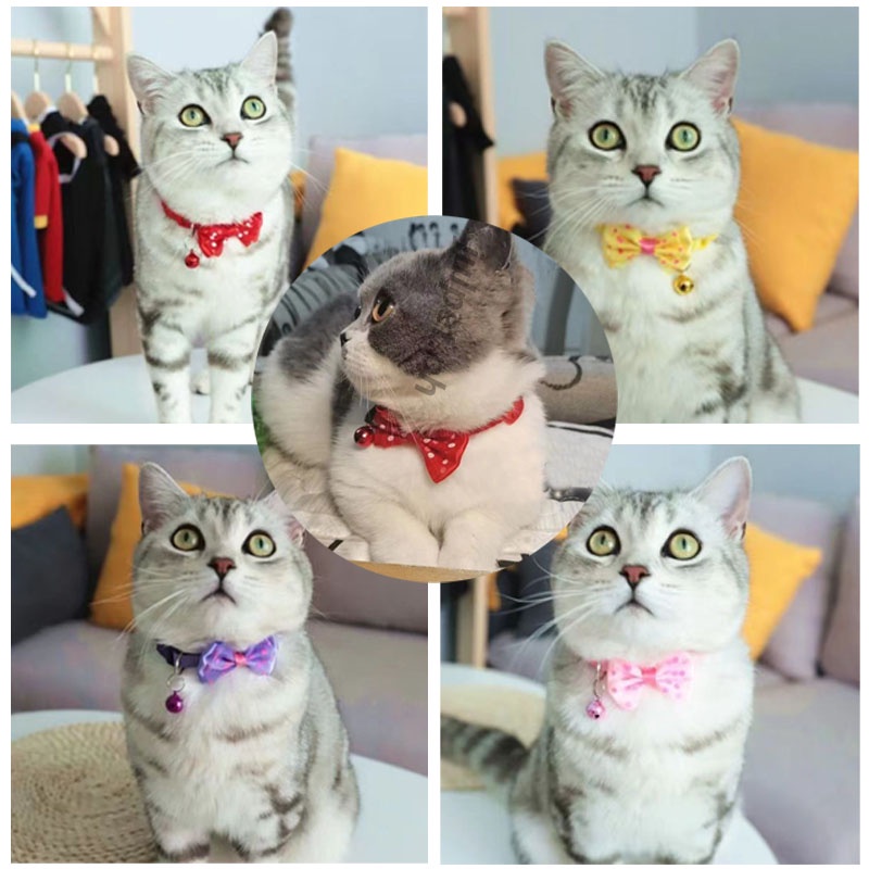 Vòng Cổ Chuông Cho Thú Cưng