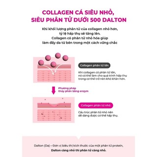 WITCH-B GLOSSY COLLAGEN  Bebalance