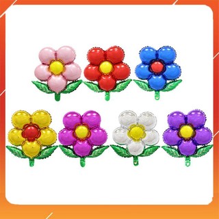 Bóng Hoa 5 Cánh Nhiều Màu