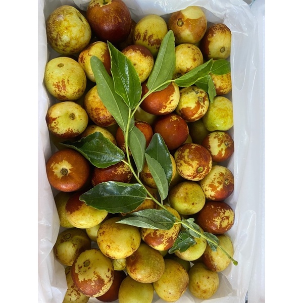 Hồng Táo vip  - hàng mới