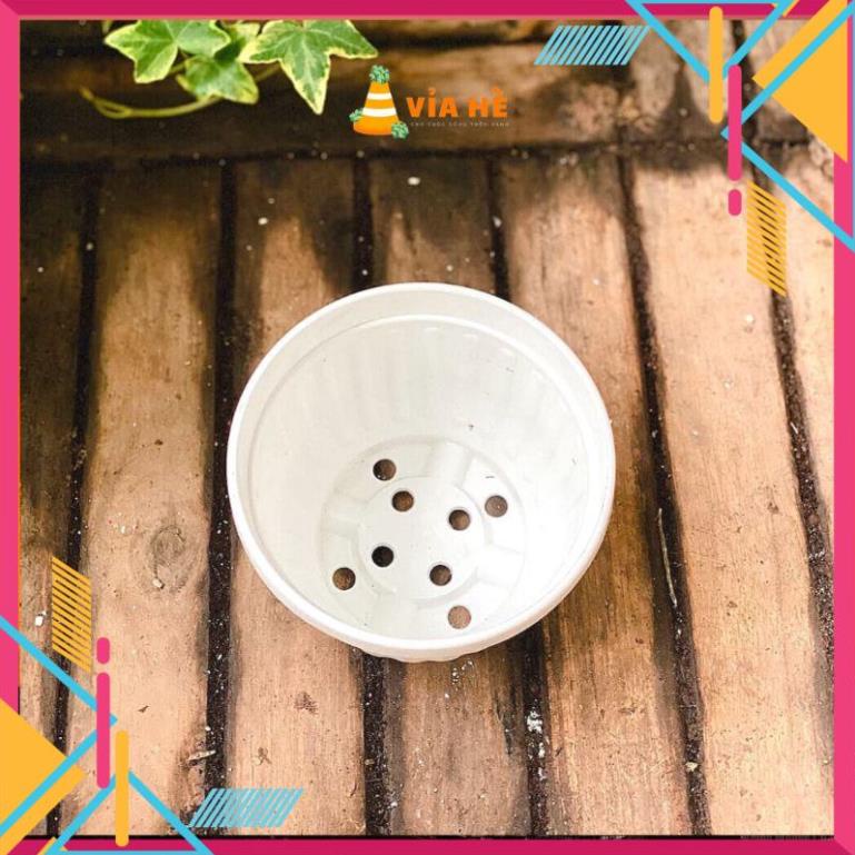 MNBX4 Chậu nhựa treo mini size nhỏ 11x9cm và 8x8cm trồng sen đá và dâu tây VIAHE chậu nhựa trồng sen đá có móc treo 32