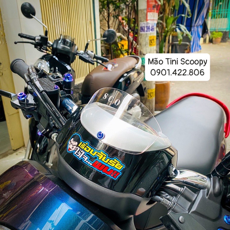 Mão Chắn gió Tini Scoopy