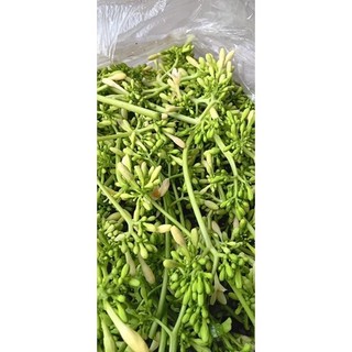 500g hoa đu đủ đực tươi ( chỉ gửi miền bắc 1-2 ngày nhận đảm bảo hoa tươi )