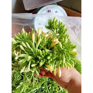 500g hoa đu đủ đực tươi ( chỉ gửi miền bắc 1-2 ngày nhận đảm bảo hoa tươi )