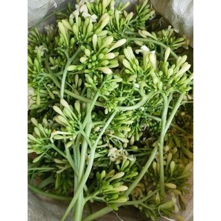 500g hoa đu đủ đực tươi ( chỉ gửi miền bắc 1-2 ngày nhận đảm bảo hoa tươi )