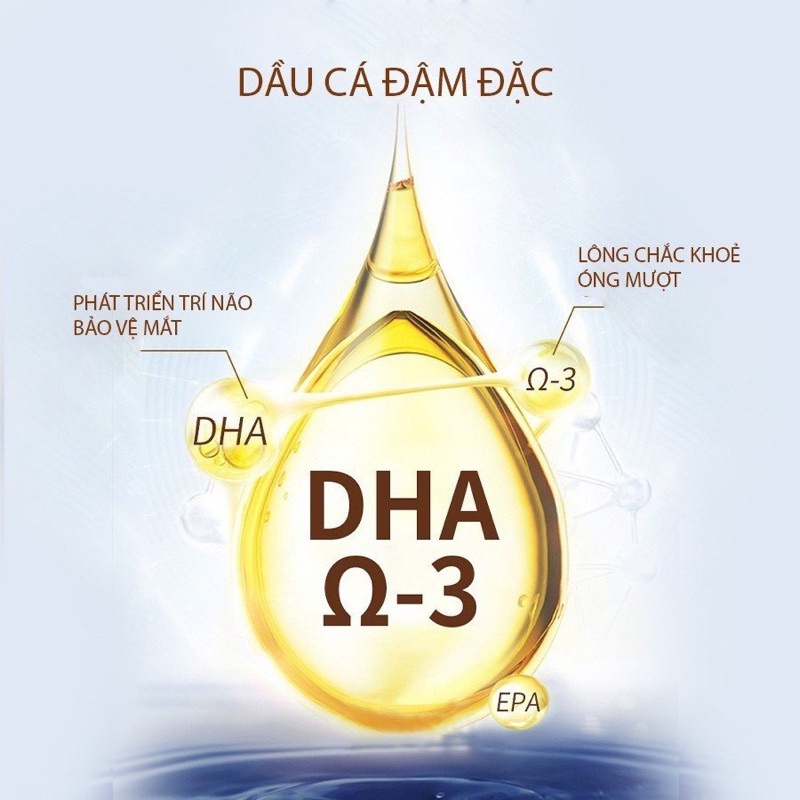 Dầu cá Borammy tăng đề kháng, đẹp lông cho chó mèo