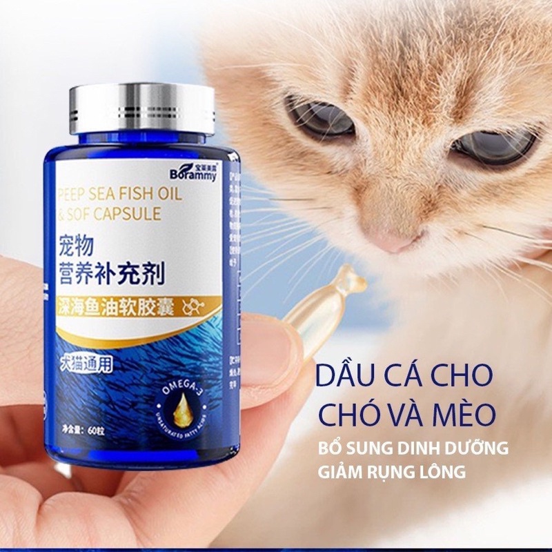 Dầu cá Borammy tăng đề kháng, đẹp lông cho chó mèo