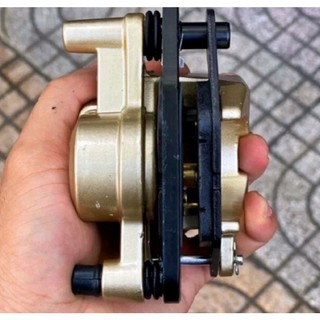 Heo dầu Sirius - Củ dầu dưới sirius